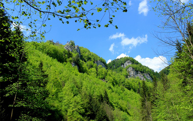 Krížna_small