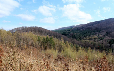 clovekovo_small